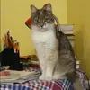 Отзыв от Лена Кондрашова